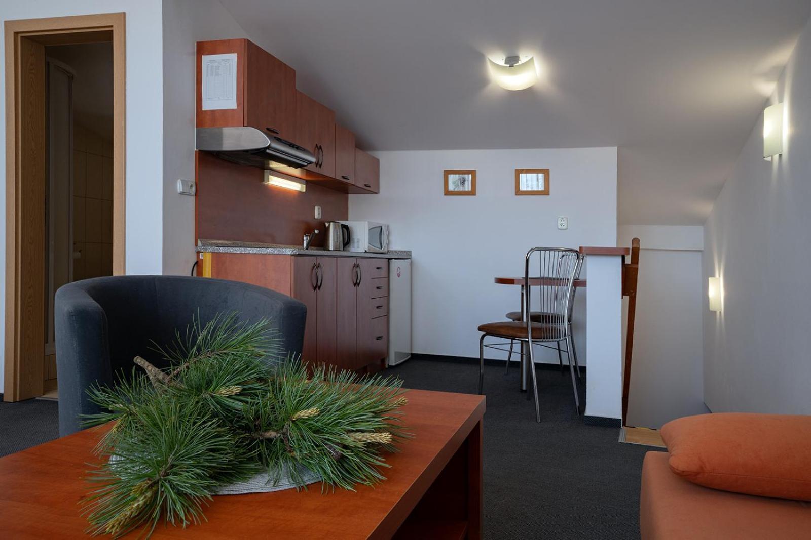 Studia Sprava Tanapu Apartment Strbske Pleso Bagian luar foto